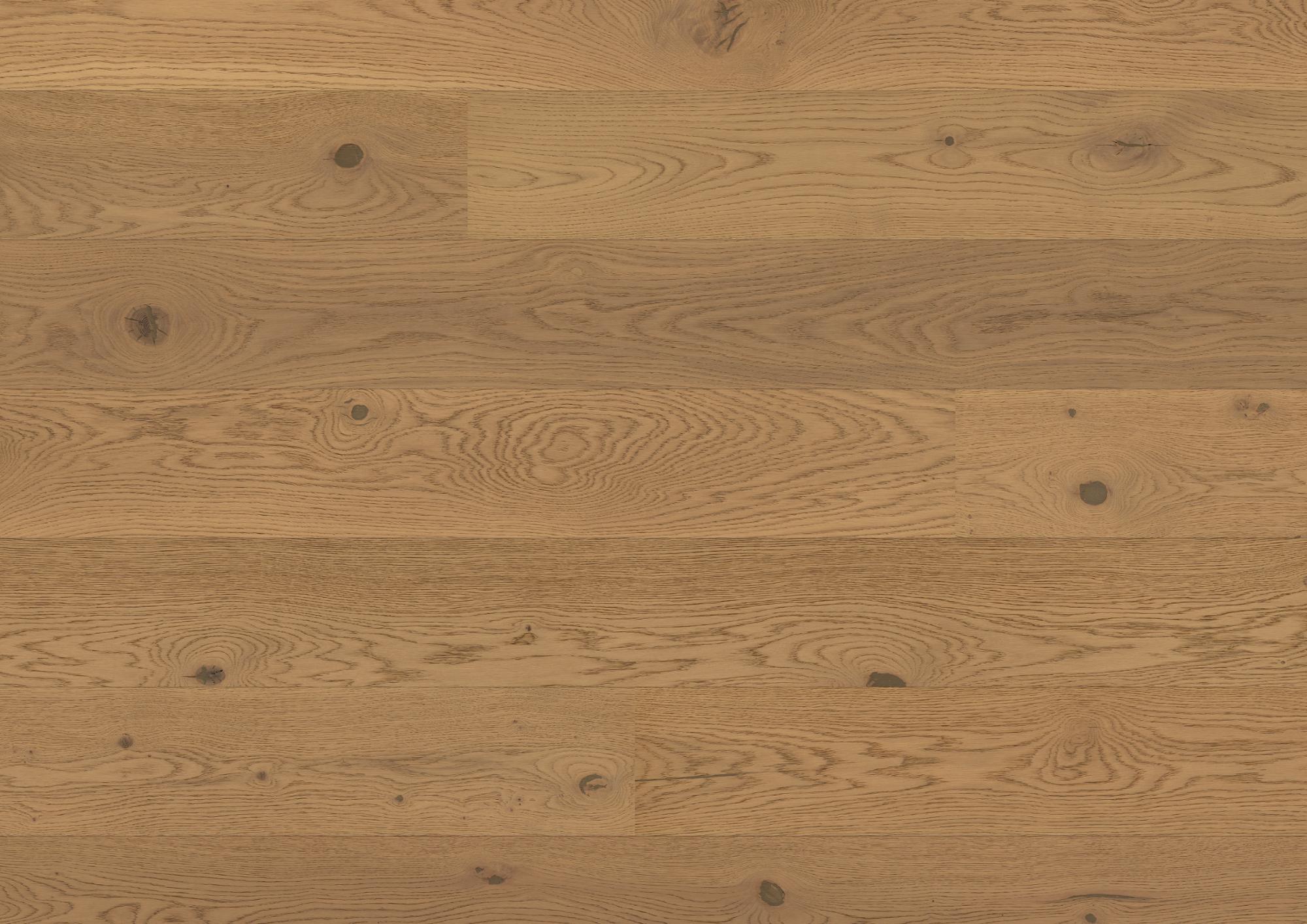 bauwerk_10164537 Landhausdiele (XL) CASAPARK 181 CLICK Eiche | Mandorla 46 Ruhige Sortierung – Bild 1